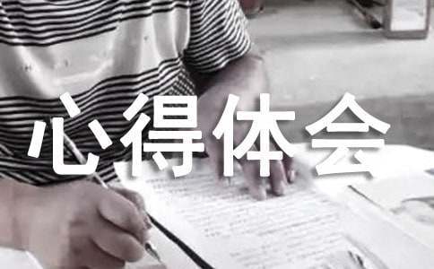 篮球训练心得体会200字左右作文_2