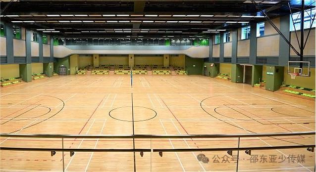 为什么专业篮球品牌在训练中如此重要_2
