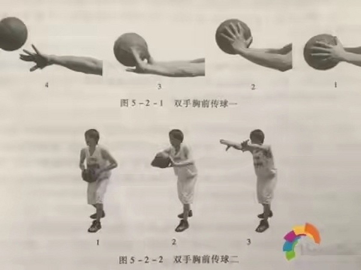 成年人是否可以通过篮球训练改善身高_1